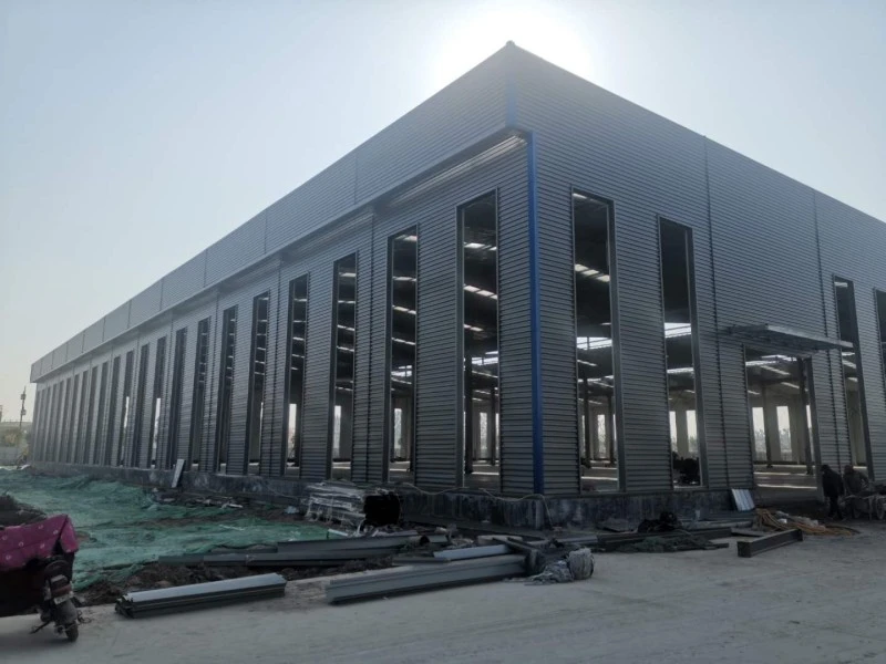 Case